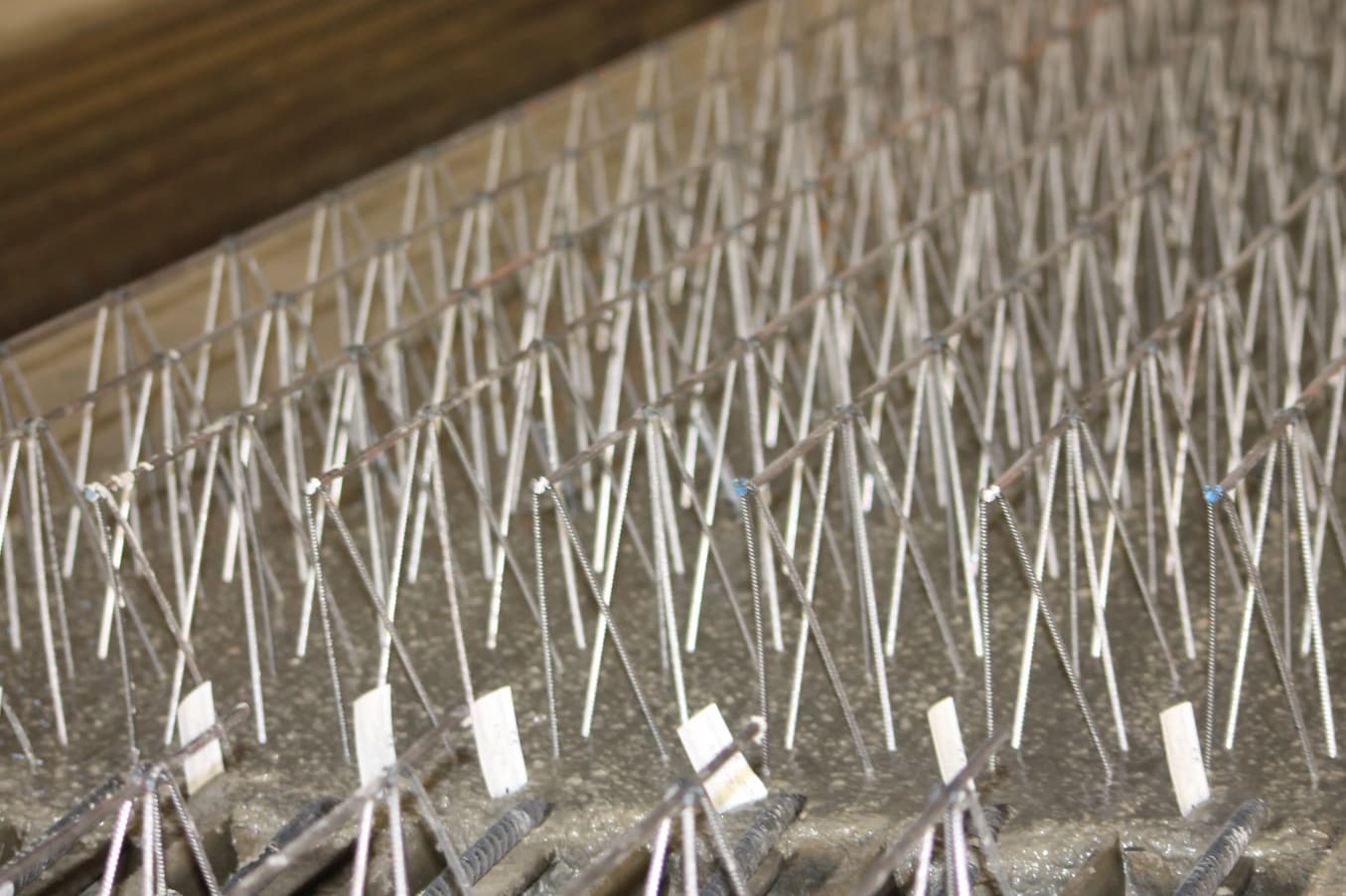 vigueta-desde-arriba